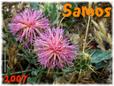Samos_2007_V4_023