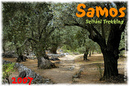 Samos_2007_V4_064