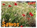 Samos_2007_V4_300