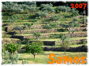 Samos_2007_V4_327