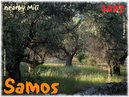 Samos_2007_V4_365